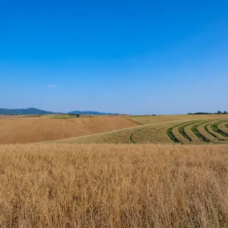 Di Campagna 10 Posti Con Piscina Privata Appartamento *