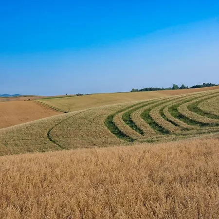 Appartamento Di Campagna 10 Posti Con Piscina Privata Castellina Marittima