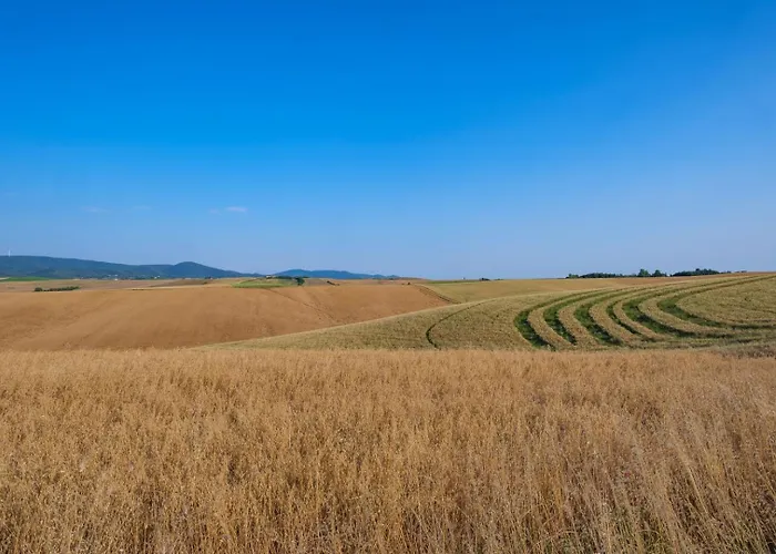 Di Campagna 10 Posti Con Piscina Privata דירה *